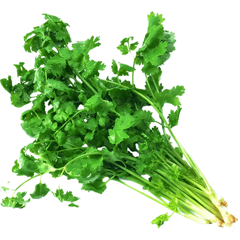 vegitabel-img